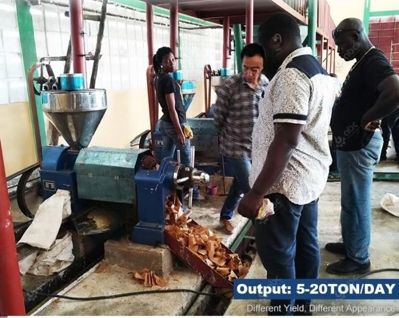 Machine de fabrication d'huile - Home Cooking Oil Making Machine avis et prix